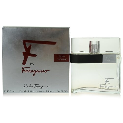 Salvatore Ferragamo F by Ferragamo toaletna voda 100 ml za mo&amp;scaron;ke Slike