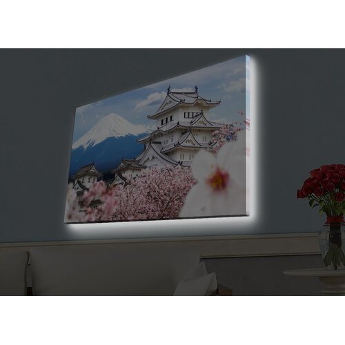 Wallity Zidna slika sa LED osvetljenjem 4570HDACT-090, 45x70 cm Cijene
