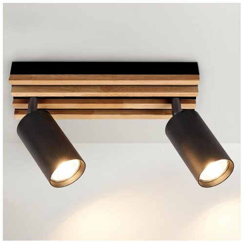  Brilagi - Spot svetlo SELE WOOD 2xGU10/30W/230V crna/drvo Cene