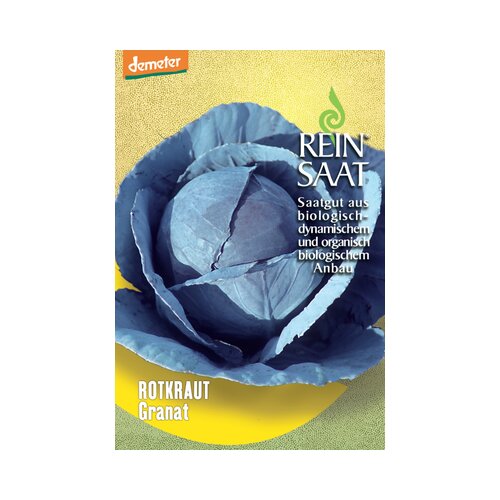 ReinSaat Rdeče zelje &amp;quot;Granat&amp;quot; Slike