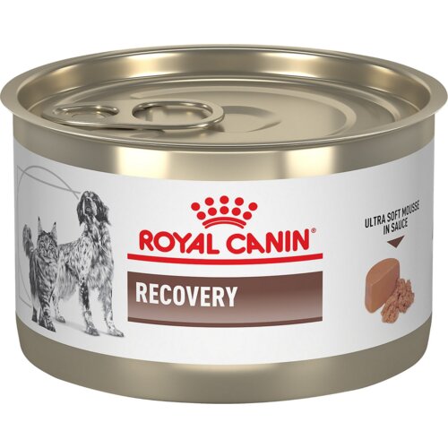 Royal_Canin veterinarska dijeta za mačke i pse recovery 195g Slike