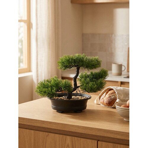 Sinsay Ukrasna biljka &amp;ndash; bonsai stablo Slike