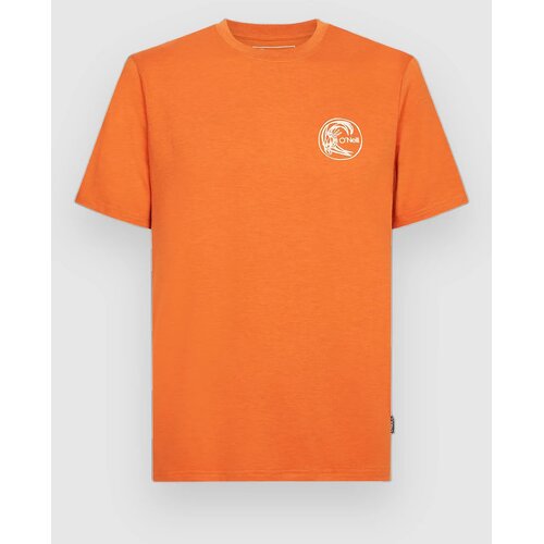 O'neill O'Riginals Hybrid T-shirt cinnamon stick Cene