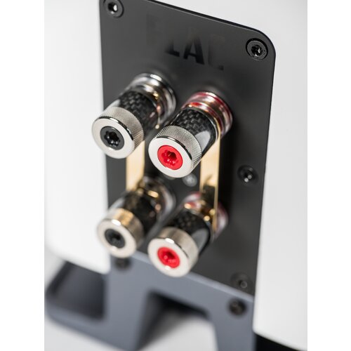 ELAC Carina BS 243.4 schwarz Preis per St&amp;uuml;ck Slike
