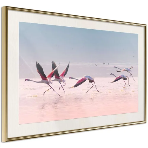  Poster - Flamingos Breaking into a Flight 45x30