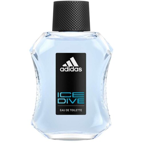 Parfem Muška toaletna voda Ice Dive EDT 100ml Cene