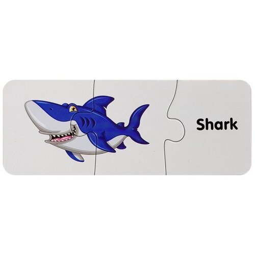  Edukativne puzzle - oceanske životinje na engleskom Slike