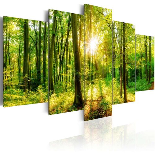  Slika - Forest Tale 100x50 Cijene