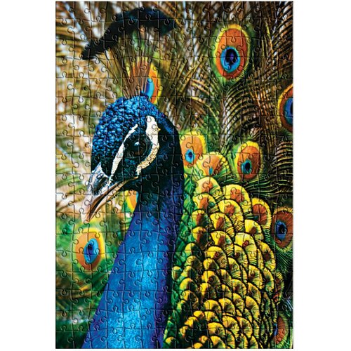  250 KOM COLORFUL NATURE 1 PEACOCK INTERDRUK Slike