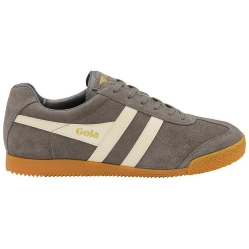 Gola Harrier Siva Slike