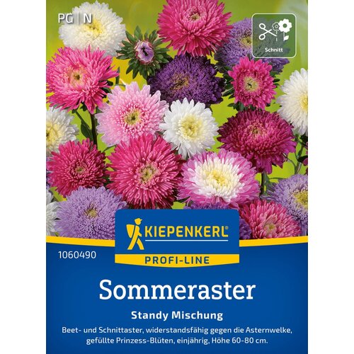 KIEPENKERL Poletne astere "Standy Mix" - 1 pkt. Cene