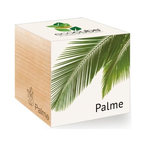 Feel Green ecocube "Exotics" - palma Cene