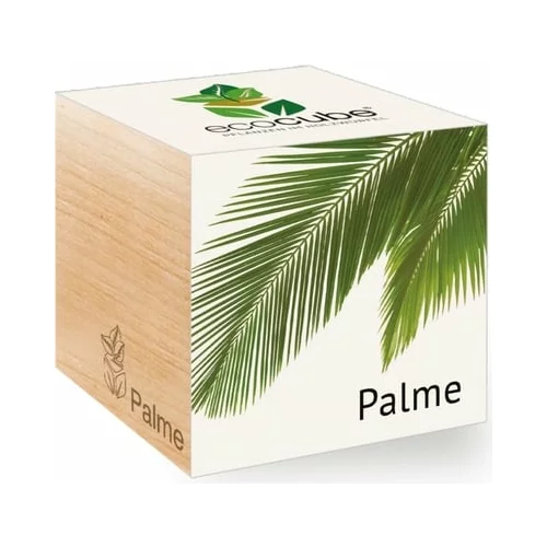 Feel Green ecocube "Exotics" - palma