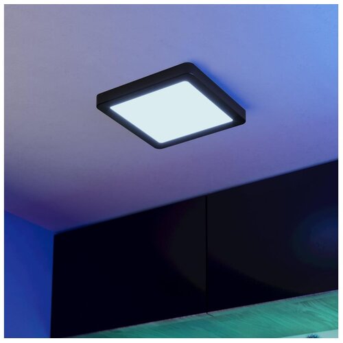 Eglo 901374-LED RGBW prigu&scaron;iva kupatilsko stropno svetlo FUEVA-Z LED/10,5W/230V 22x22cm IP44 crna Cene