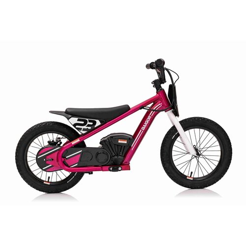 Ramiz Električno motorno kolo BAIGOR 23 Pro 250 W roza Slike