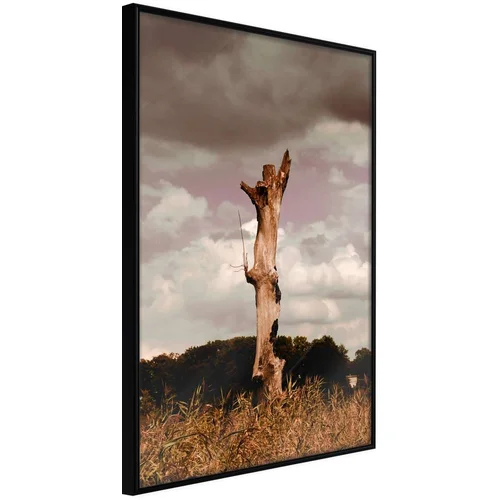  Poster - Loneliness in Nature 40x60