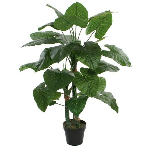  Umjetna biljka Taro (Visina: 120 cm, Zelene boje, Plastika) Slike