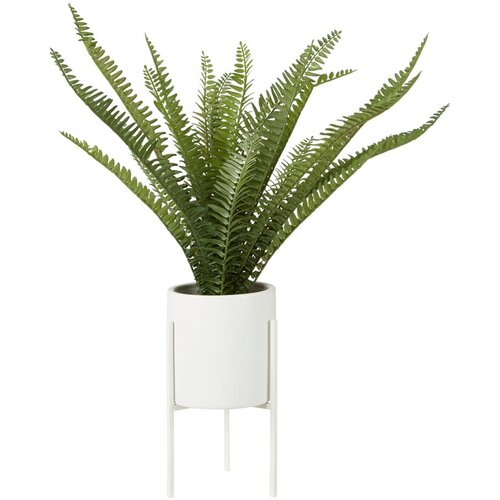 Premier Housewares Umjetna biljka Fiori &amp;ndash; Slike