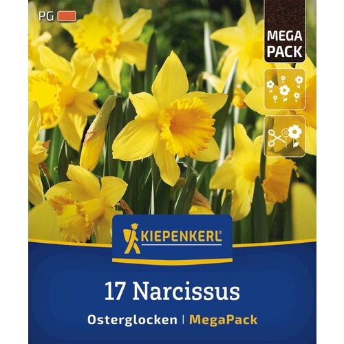 KIEPENKERL Mega pakiranje narcis &amp;quot;Osterglocken&amp;quot; - 17 k. Slike