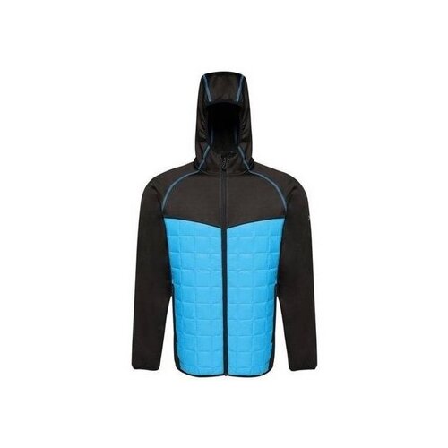 Regatta Jakne Modular Thermal pisana Cene