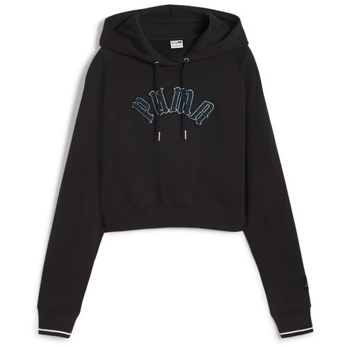 Puma Puloverji CLASSICS PLAY PARIS HOODIE Črna Slike