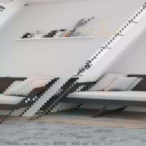  Dnevna postelja siva trdna borovina 80x200 cm, (20646784) Slike