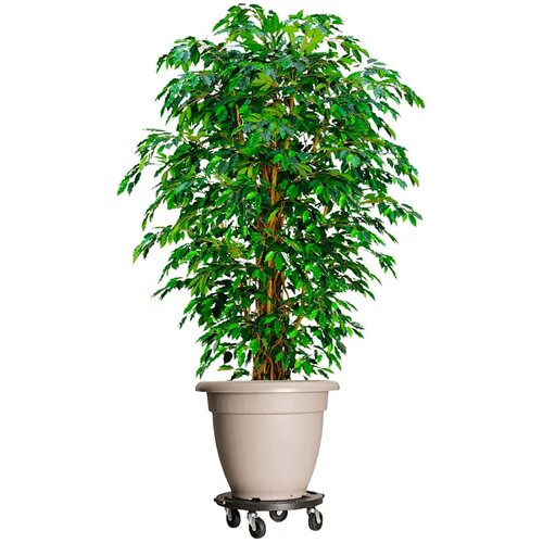  Kolica za biljke s kotačima 3 kom promjer 40 cm crna 275 kg Slike