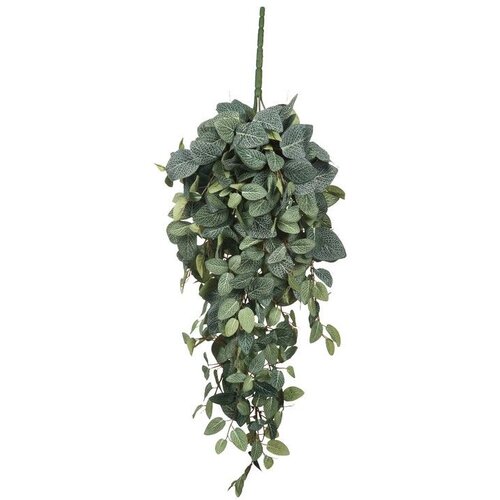  Cvet PILEA 70cm 953440 - Green - EDL Cene