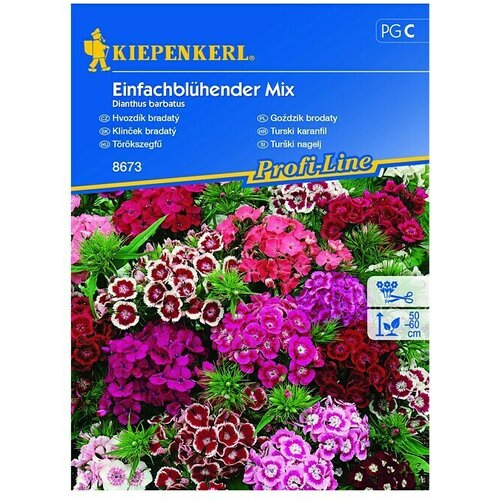 KIEPENKERL Sjeme cvijeća Turski karanfil Mix (Dianthus barbatus) Cijene