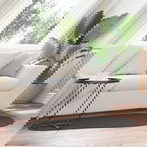  Preproge Antracit Poliester 80 x 150 cm Trajna Slike