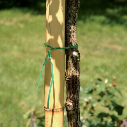  Oporna palica za rastline (dolžina: 150 cm, bambus) Cene