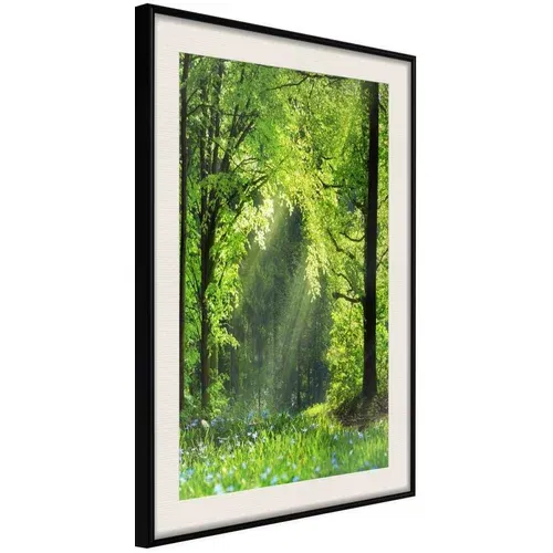  Poster - Forest Path 30x45