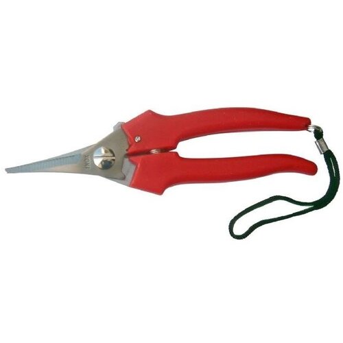 Olimp Sport Makaze za berbu TICK 20 Cene