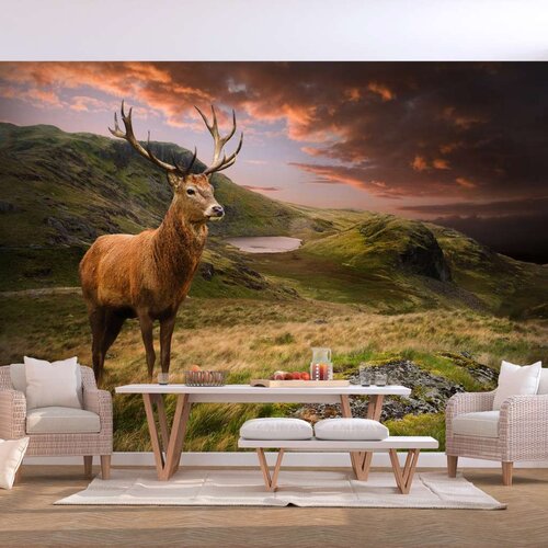  Samoljepljiva foto tapeta - Deer on Hill 147x105 Slike