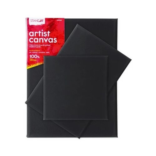 Professional standart canvas blind ram crna - odaberite dimenziju 20 x 30cm ( 602132 ) Cene