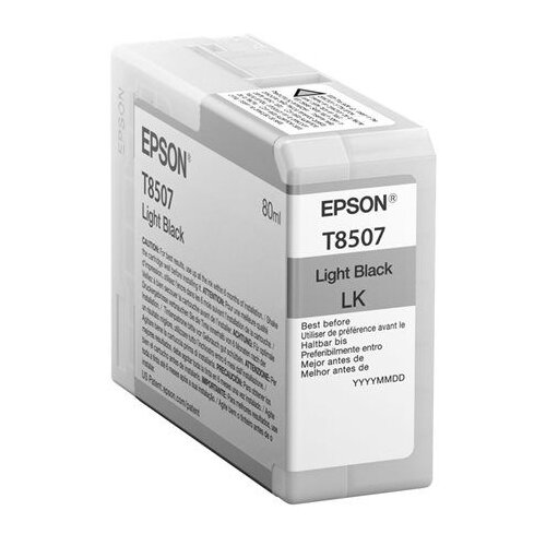 Epson Singlepack Light Black T850700 C13T850700 Slike