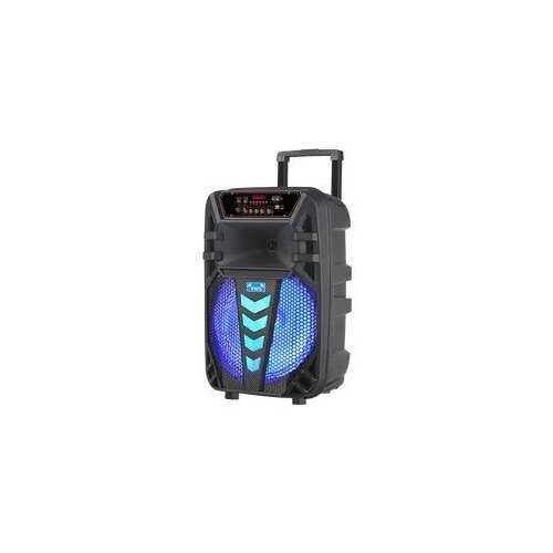  Zvucnik NDR-W1012 karaoke s wireless mikrofonom Cijene