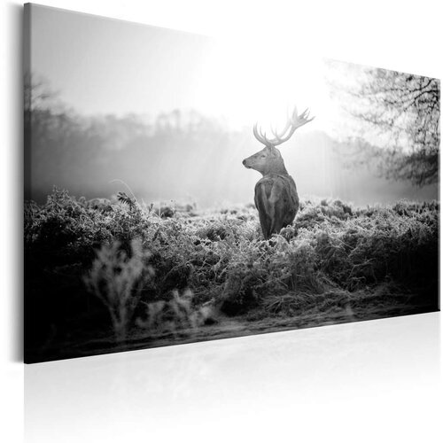  Slika - Black and White Deer 120x80 Slike
