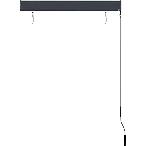  Vanjska roleta 100 x 250 cm antracit Slike