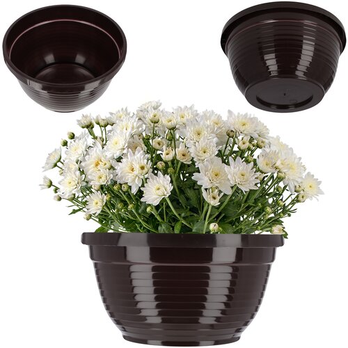 KADAX cvetlični lonček za pokopali&amp;scaron;če plastični nagrobnik skleda krizanteme 22 cm, (5000346448) Slike