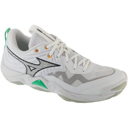 Mizuno Nizke superge Wave Momentum Elite Bela Cene
