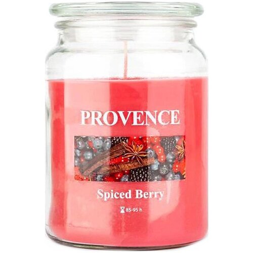  Mirisna sveća SPICED BERRY, 510 g, 85&ndash;95 sati. Cene