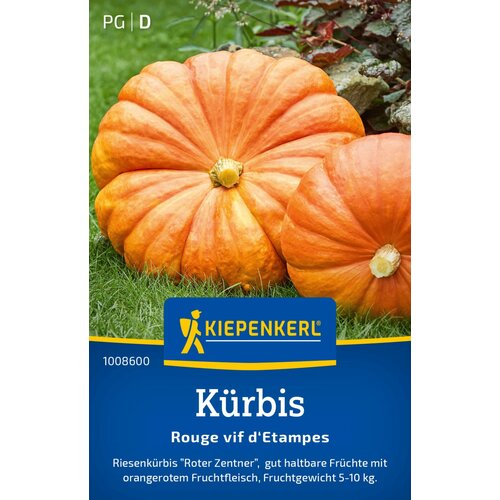 KIEPENKERL Buče Rouge vif d'Etampes - 1 pkt. Cene