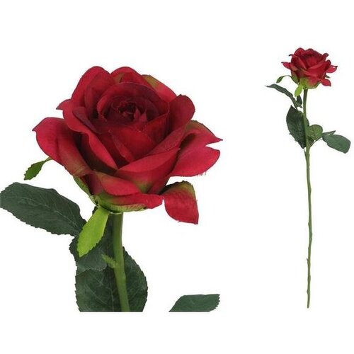 Ruža 51CM Slike