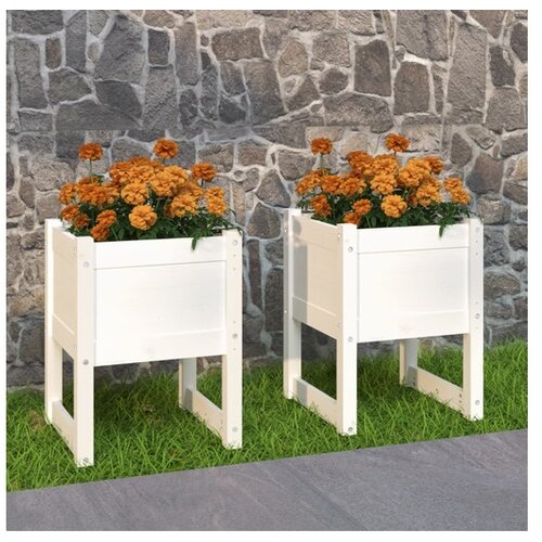  Visoka greda 2 kosa bela 40x40x52,5 cm trdna borovina Cene