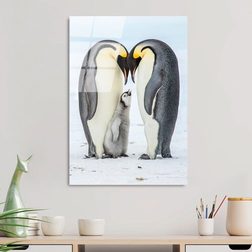 Wallity slika UV-426, 50 x 70 cm Cene