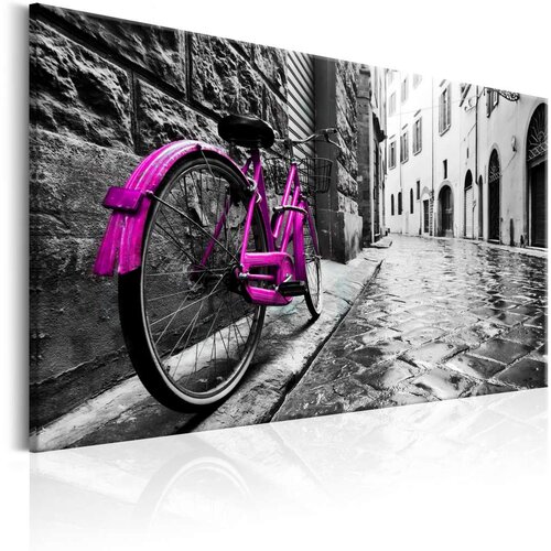  Slika - Vintage Pink Bike 60x40 Cijene