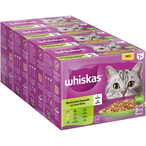 Whiskas Mega pakiranje 1+ Adult vrečke 48 x 85 g - Mešan izbor v želeju Cene
