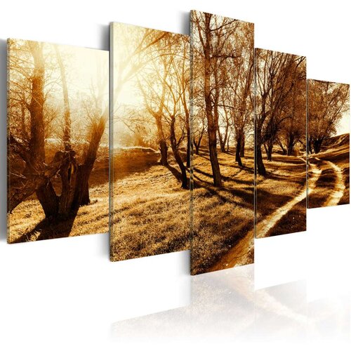  Slika - Amber orchard 100x50 Slike