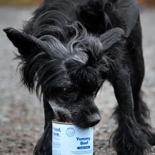 Buddy_Pet_Foods Buddy Yummy Beef vlažna hrana u konzervi za odrasle pse, govedina Slike